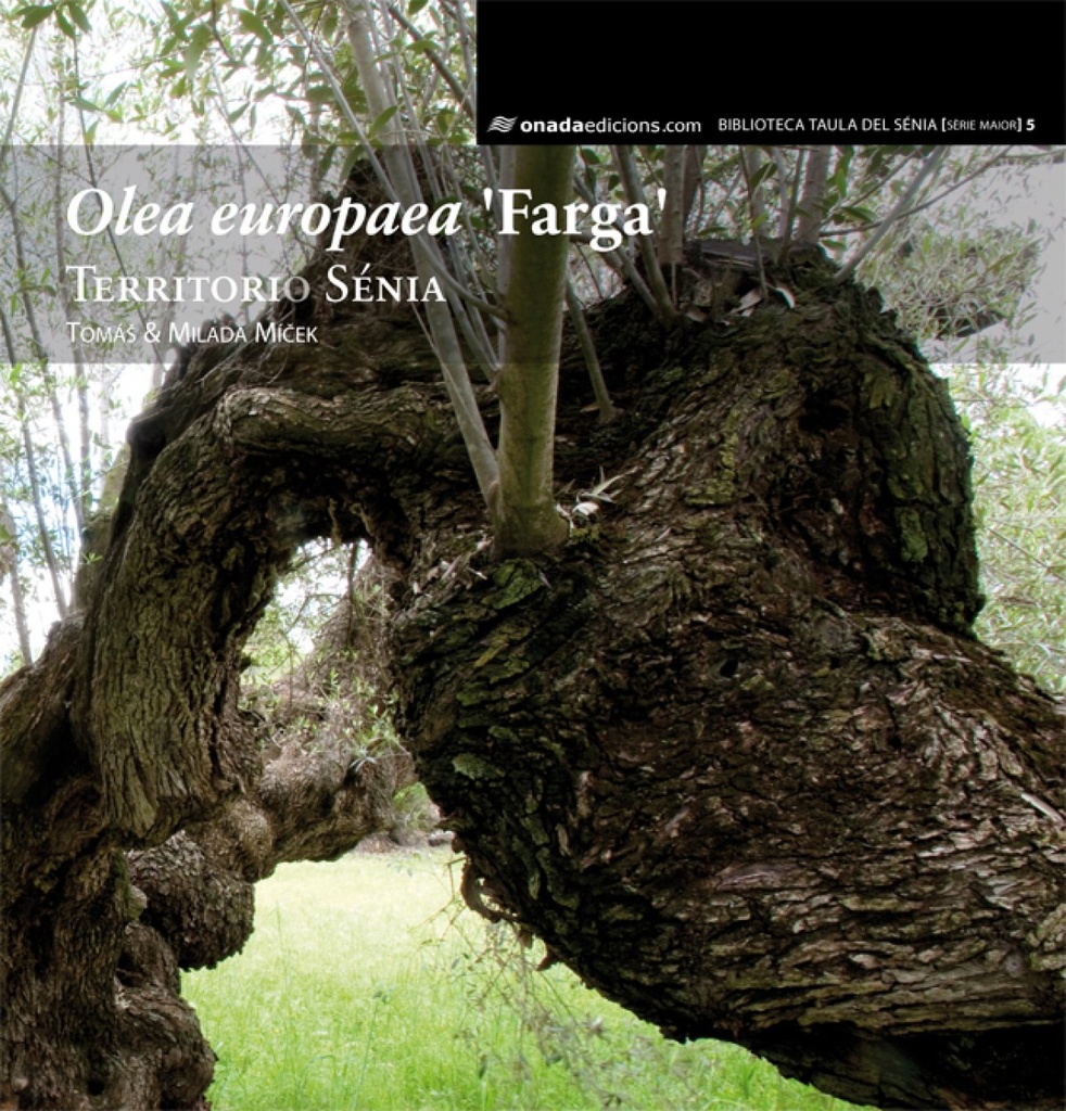 Olea europaea ´farga´