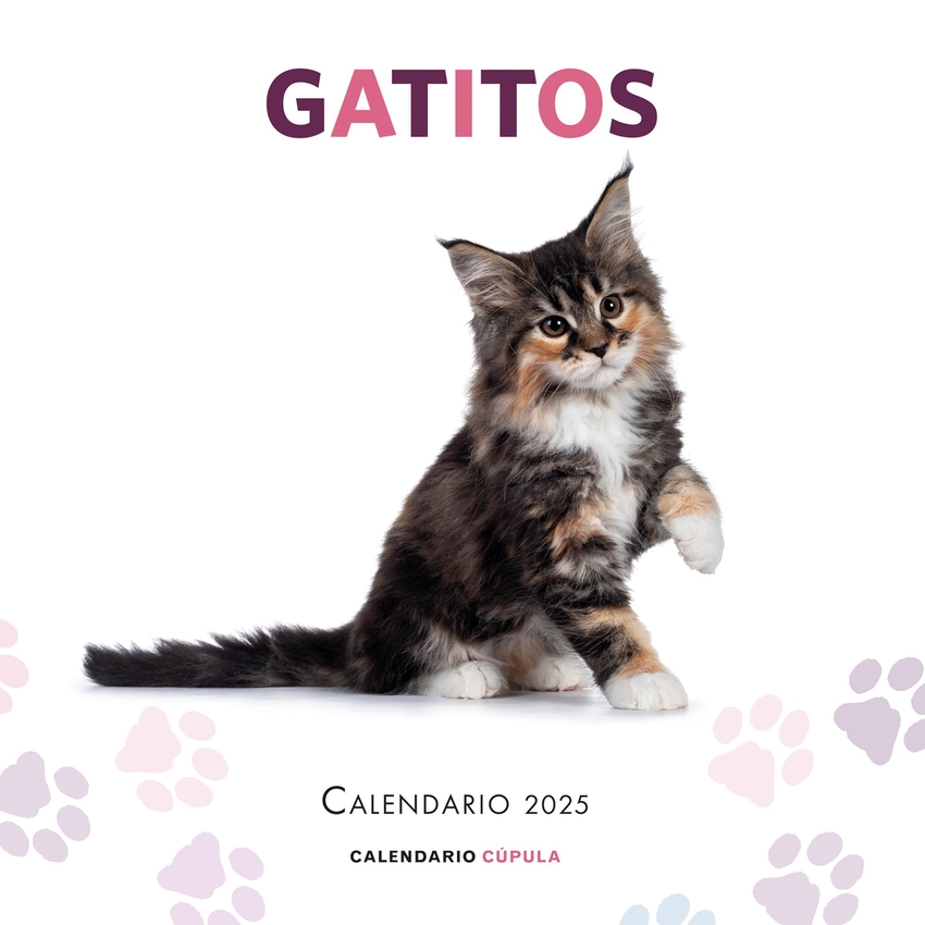 Calendario Gatitos 2025