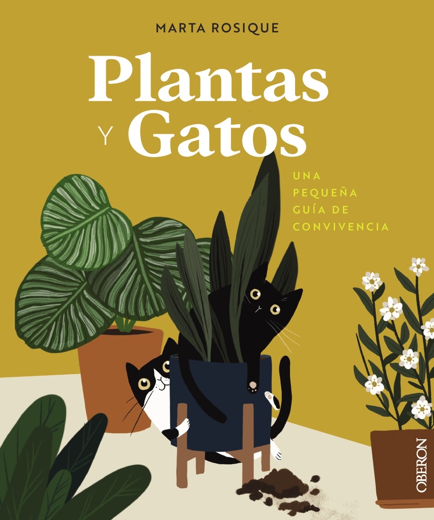 Plantas y gatos