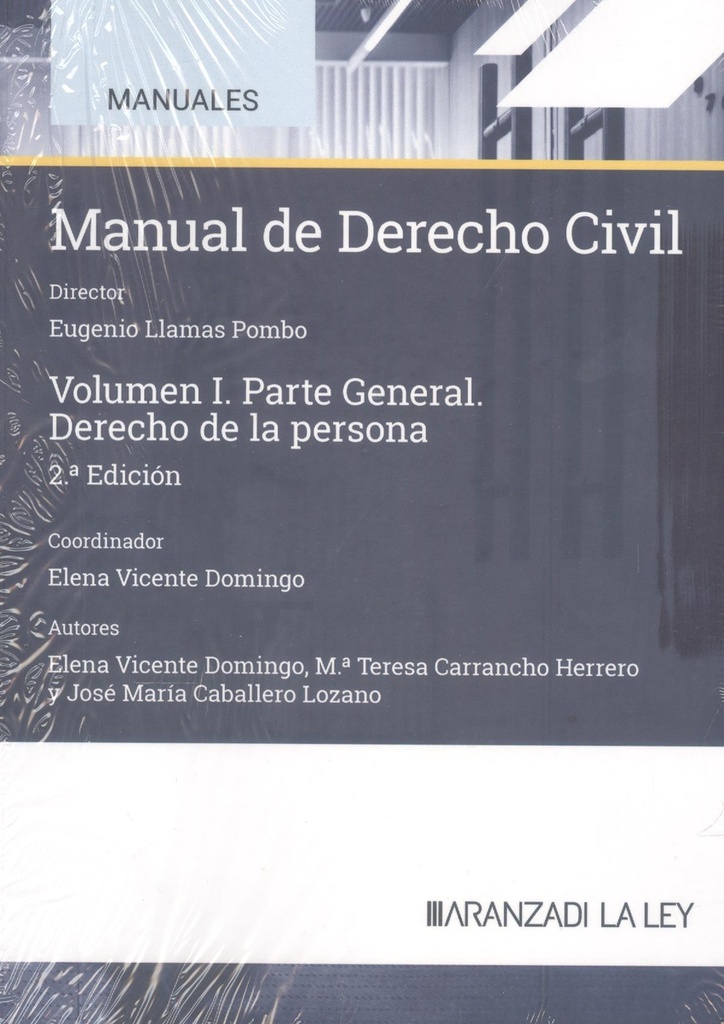 Manual de Derecho civil