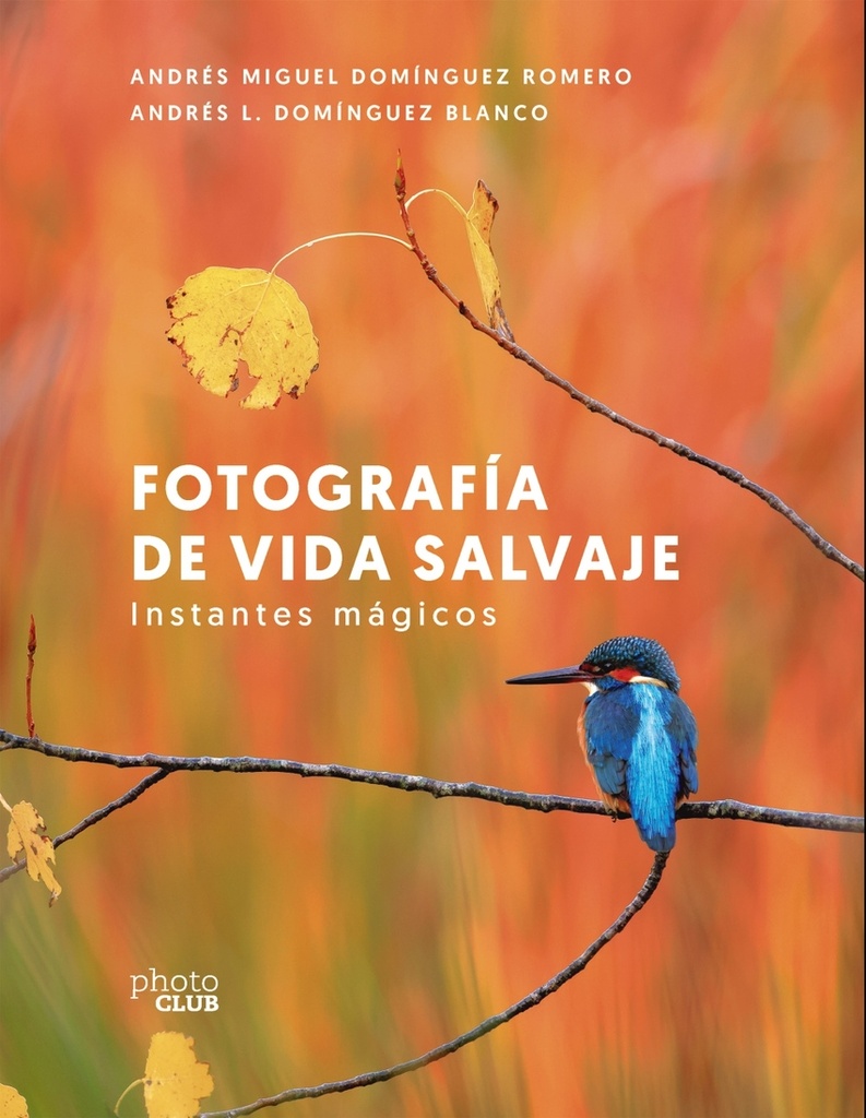 Fotografía de vida salvaje. Instantes mágicos