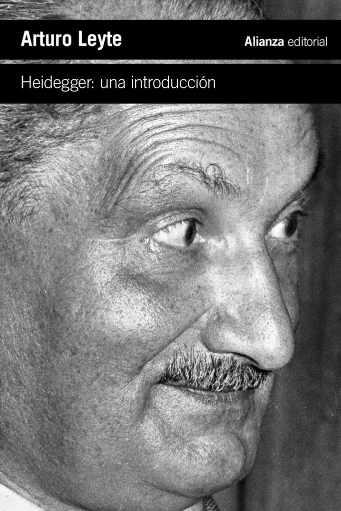 Heidegger: una introducción