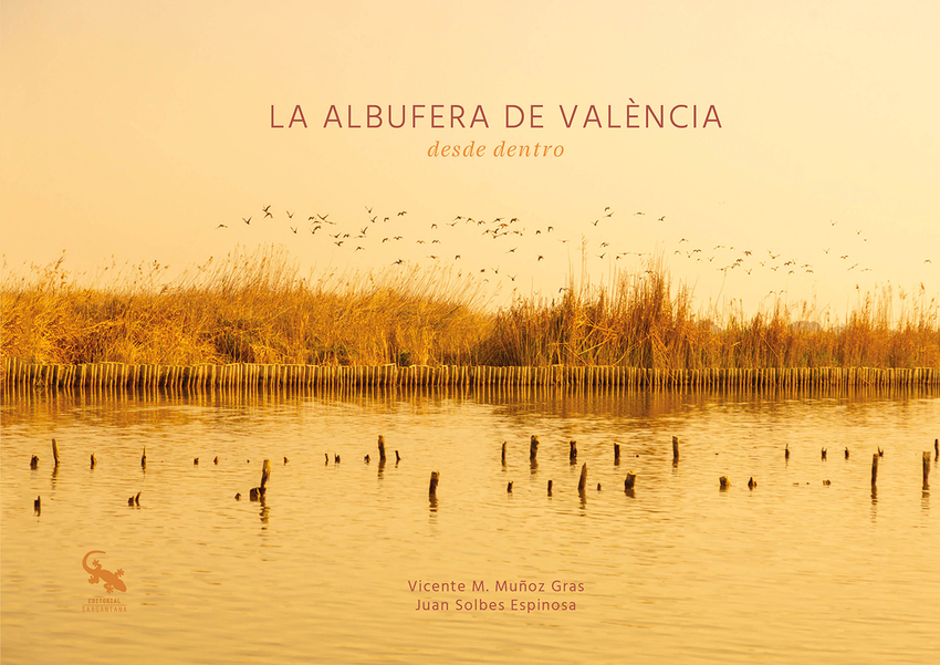 La albufera de València desde dentro