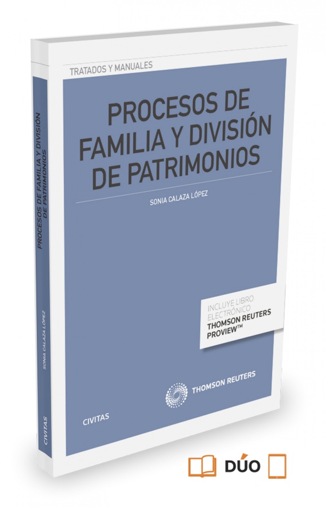 Procesos de familia y división de patrimonios