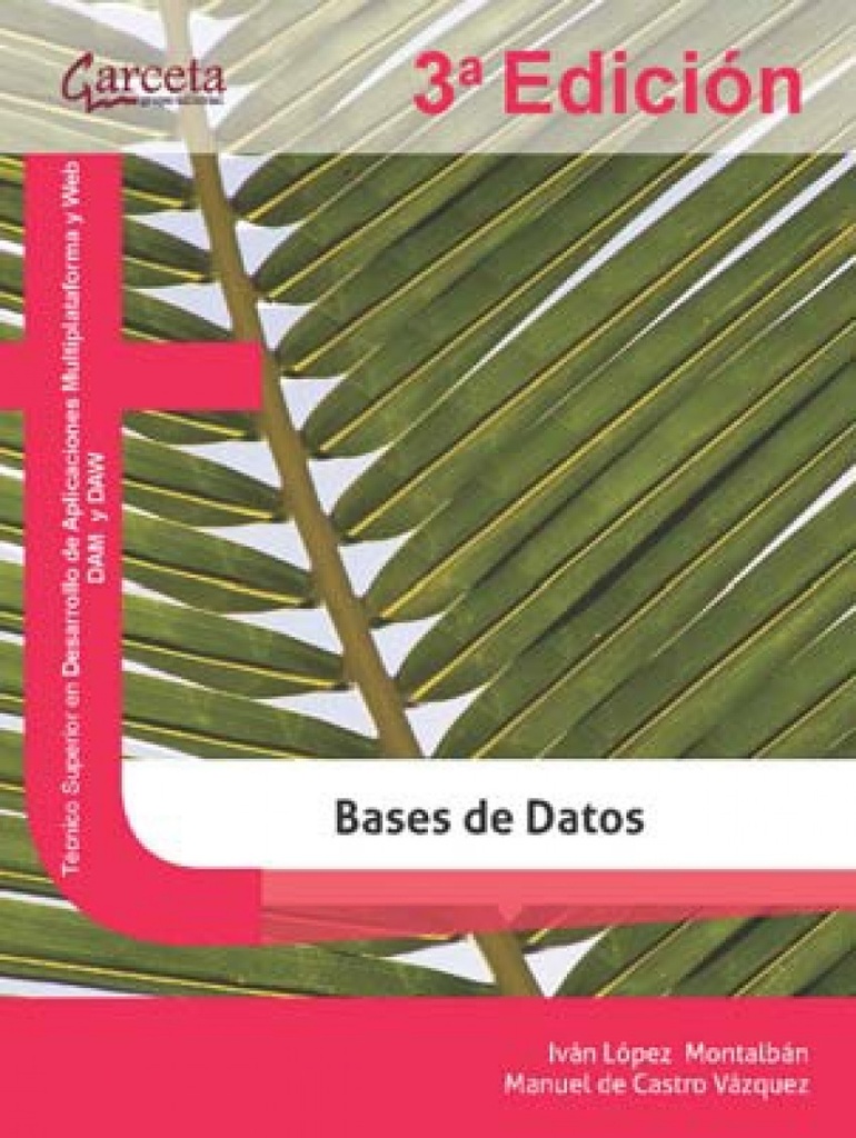 BASES DE DATOS 3º EDICION