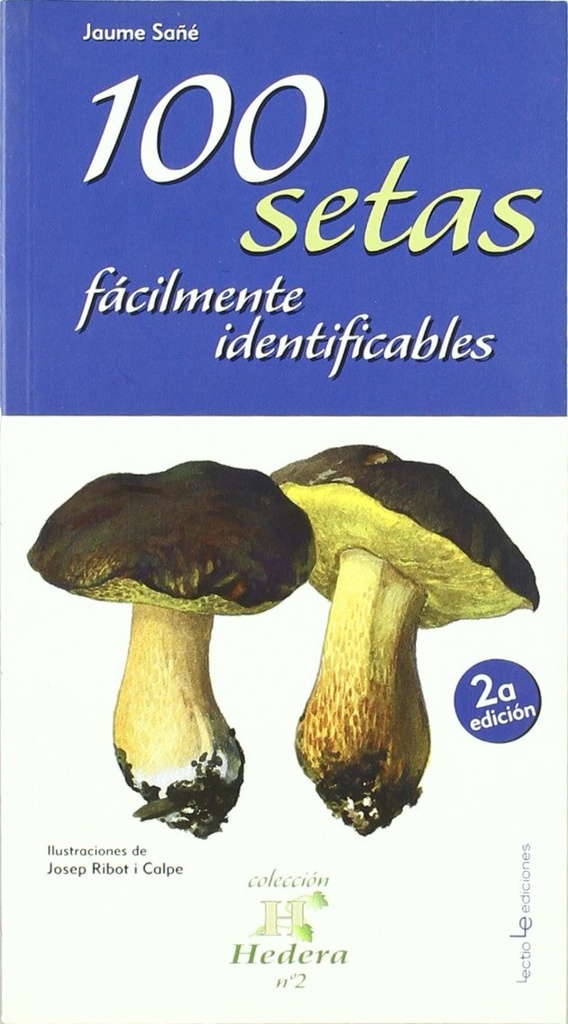 100 SETAS FÁCILMENTE IDENTIFICABLES