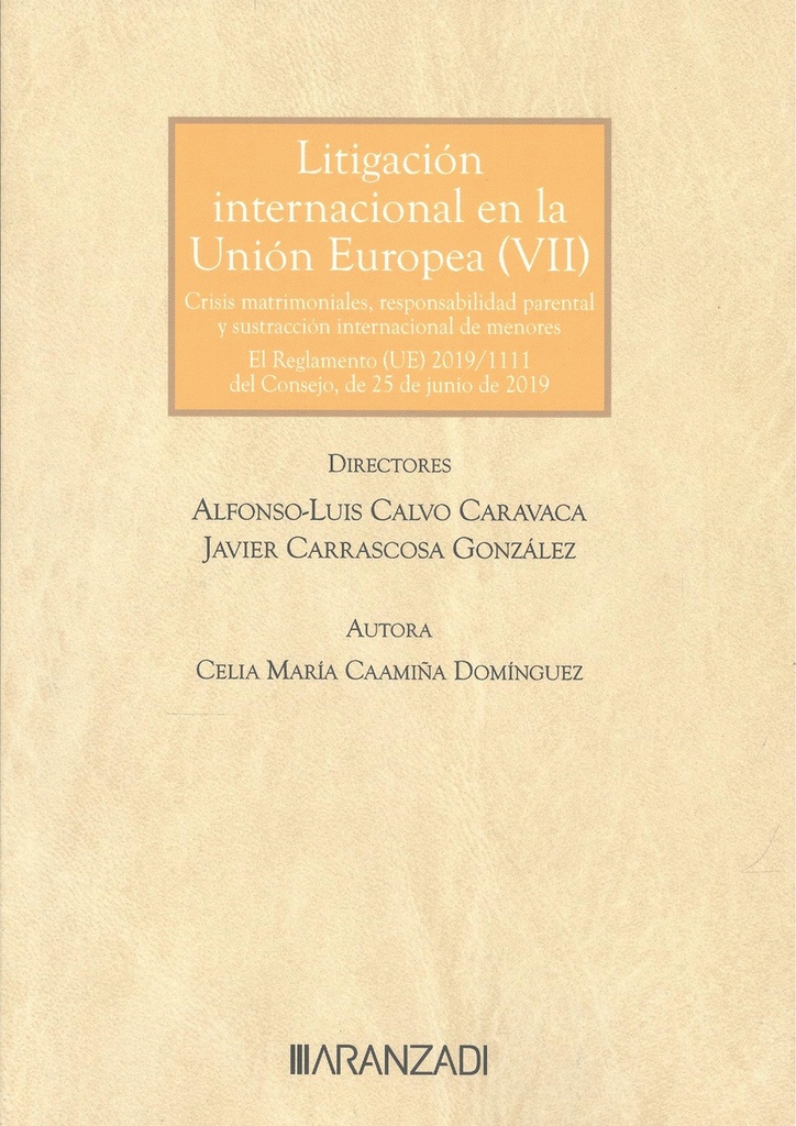 LITIGACIÓN INTERNACIONAL EN LA UNIÓN EUROPEA (VII)