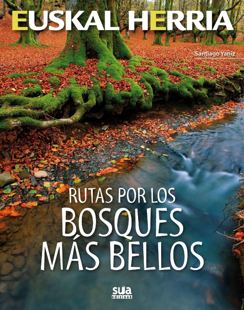 Rutas por los bosques mas bellos