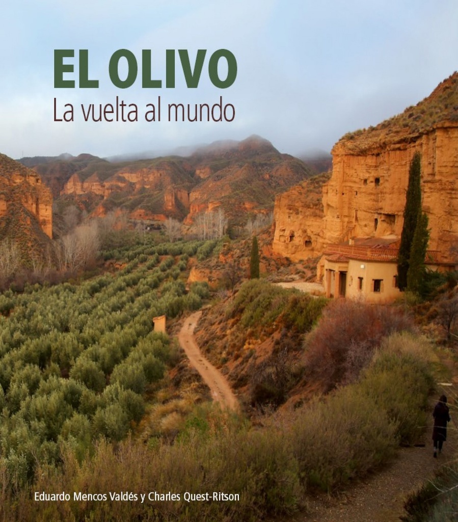 El olivo.