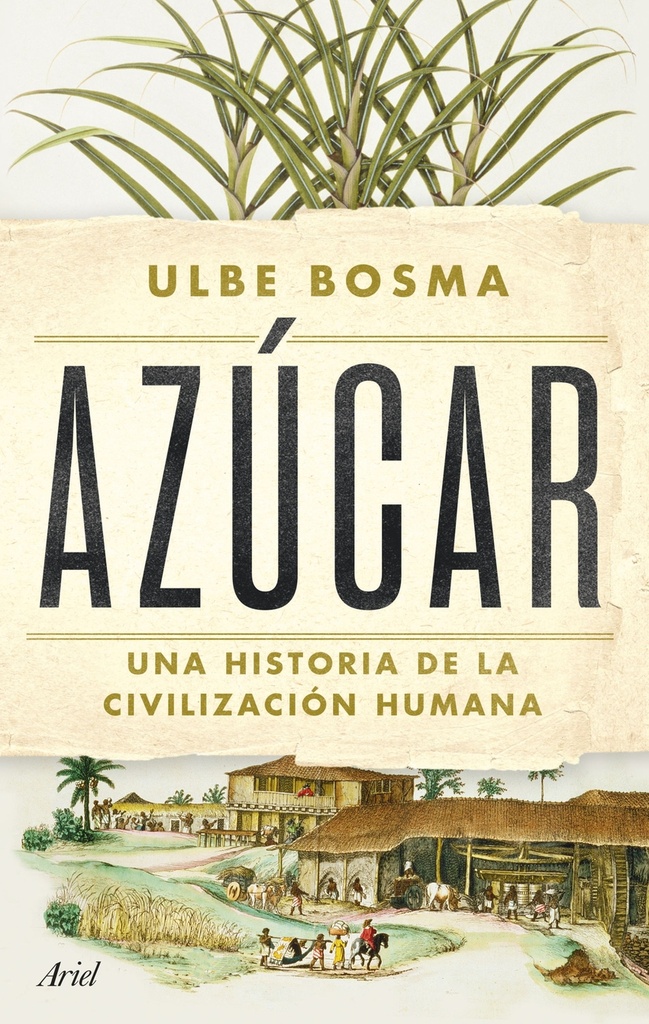 Azúcar