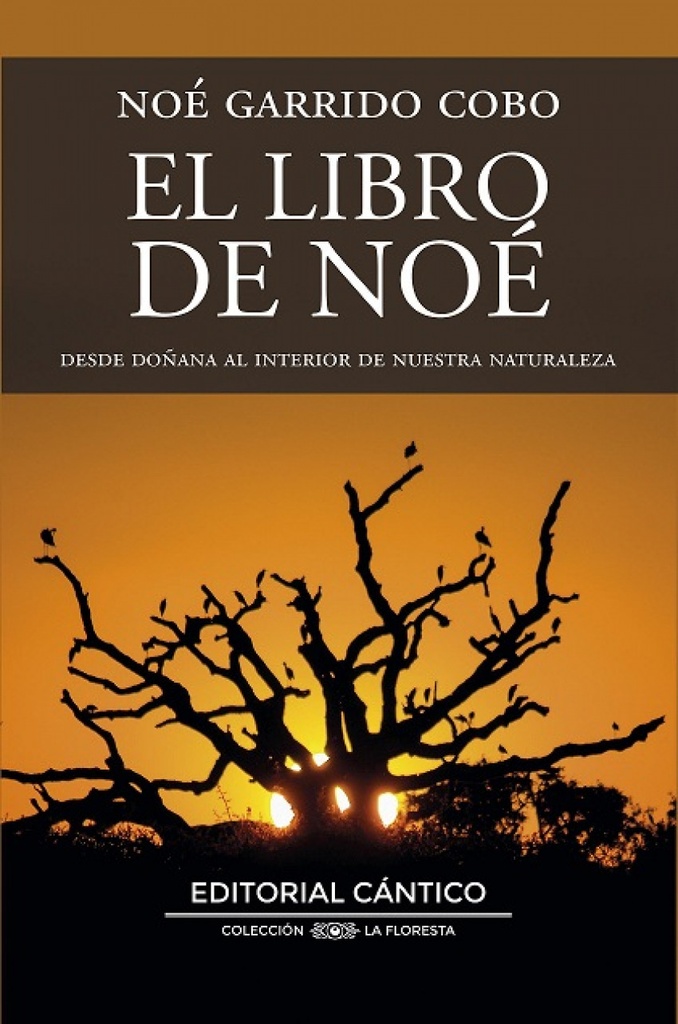 LIBRO DE NOÉ, EL