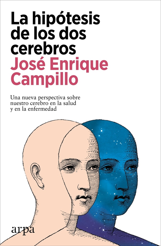 La hipótesis de los dos cerebros