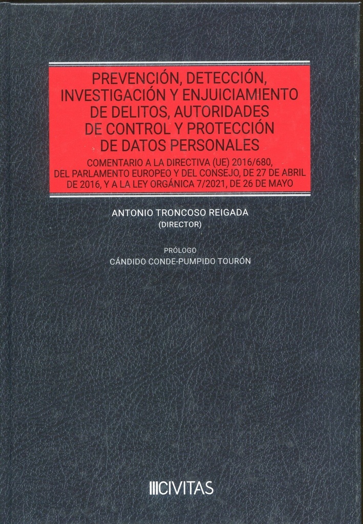 PREVENCION, DETECCION, INVESTIGACION Y ENJUICIAMIENTO DE DELITOS, AUTORIDADES DE CONTROL Y PROTECCION DE DATOS PERSONALES