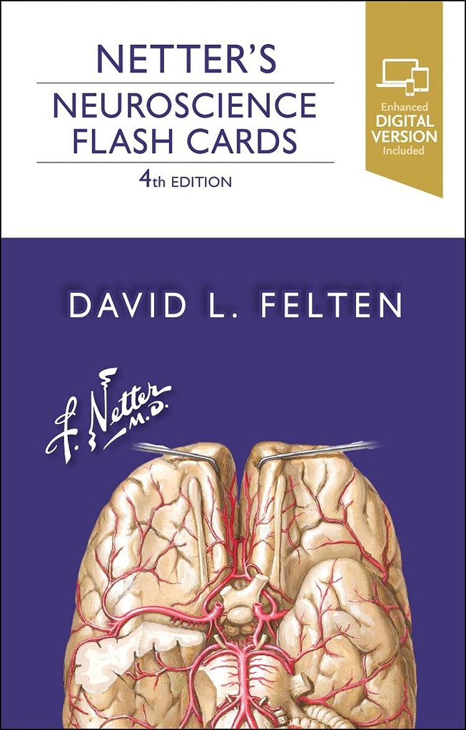 Netter´s neuroscience flash cards