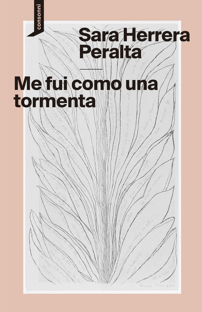 Me fui como una tormenta