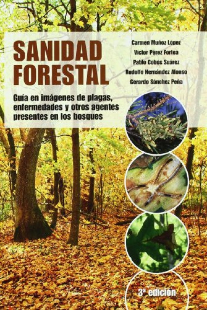 Sanidad forestal