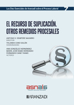 El recurso de suplicación. Otros remedios procesales