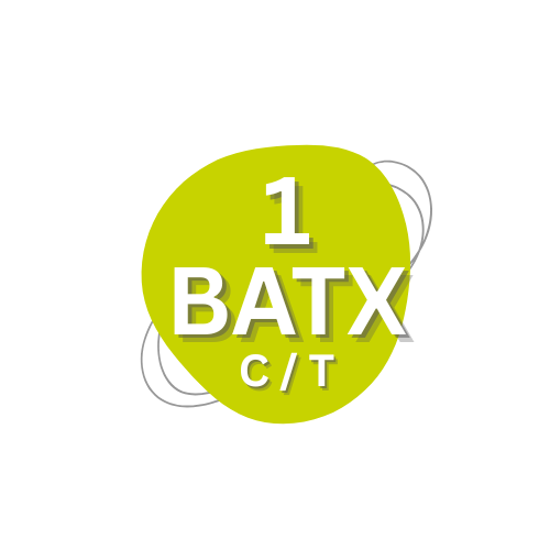 1 BATX CIENTIFIC/TECNOLOGIC