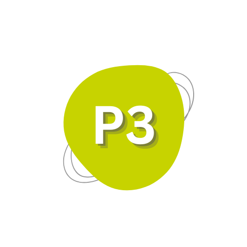 P3 JOSEP JANÉS
