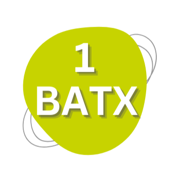 1 BATX LÓPEZ VICUÑA