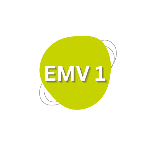 1r ELECTROMECÀNICA DE VEHICLES - CASTELLARNAU