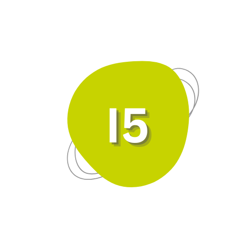 I5 - MAESTROS RMSI