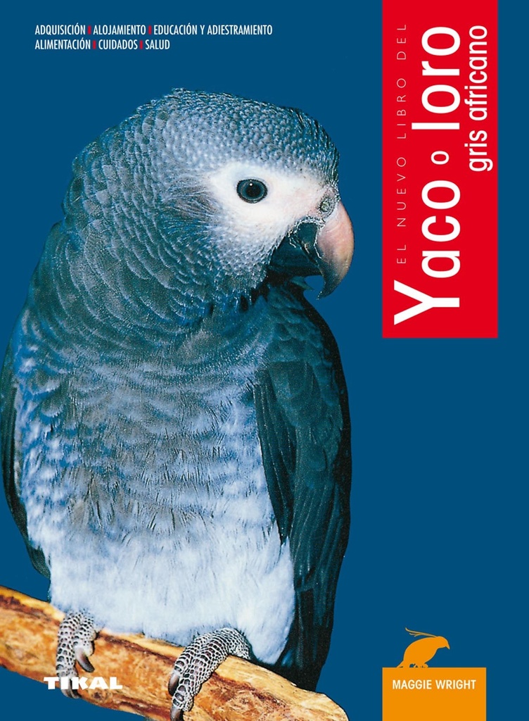 Yaco o loro gris africano