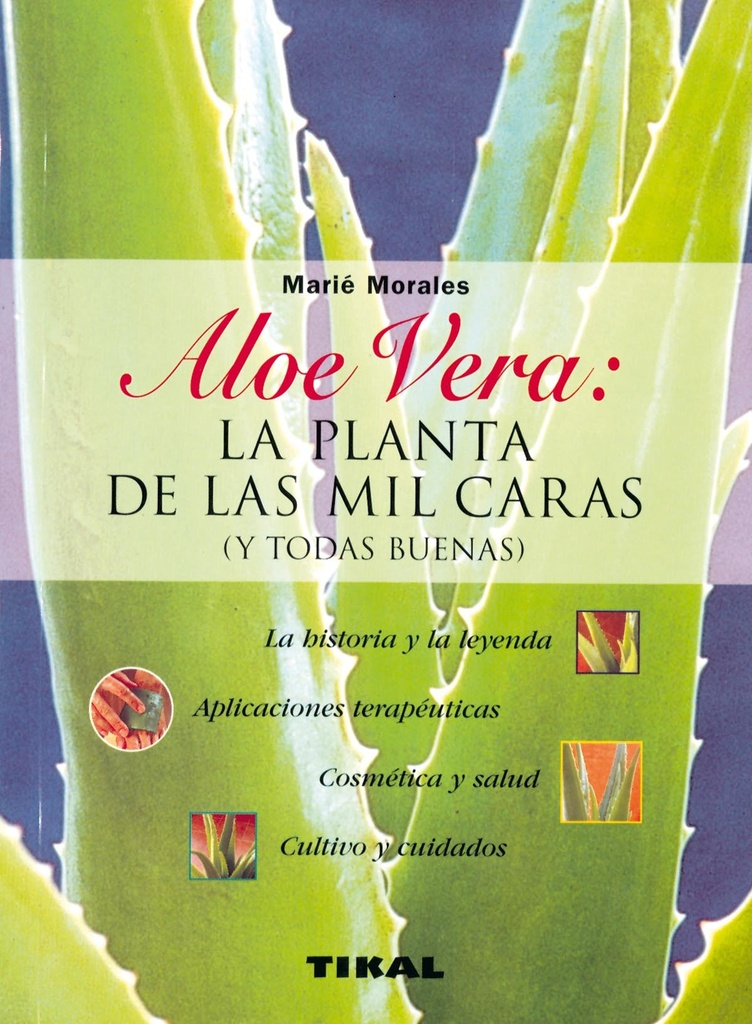 Aloe vera