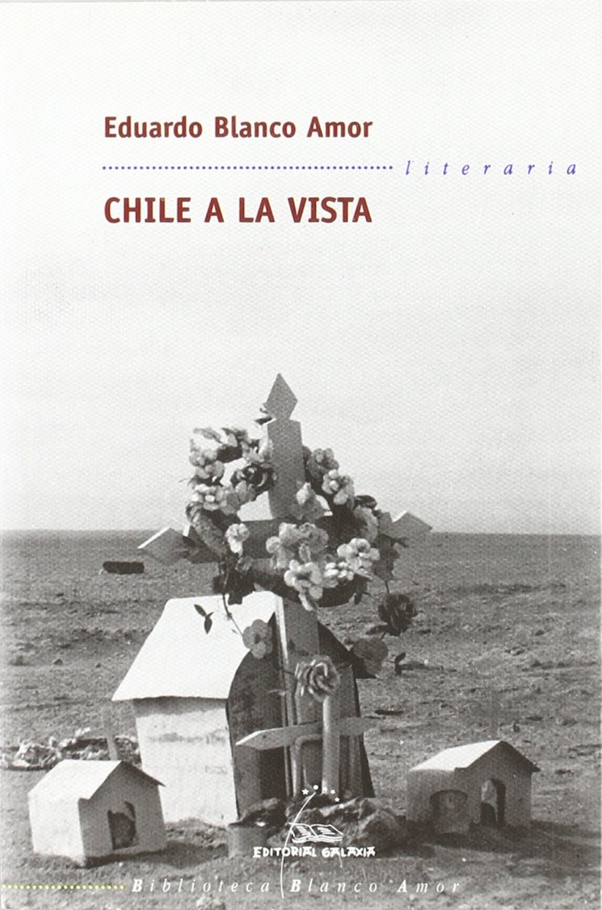 Chile a la vista