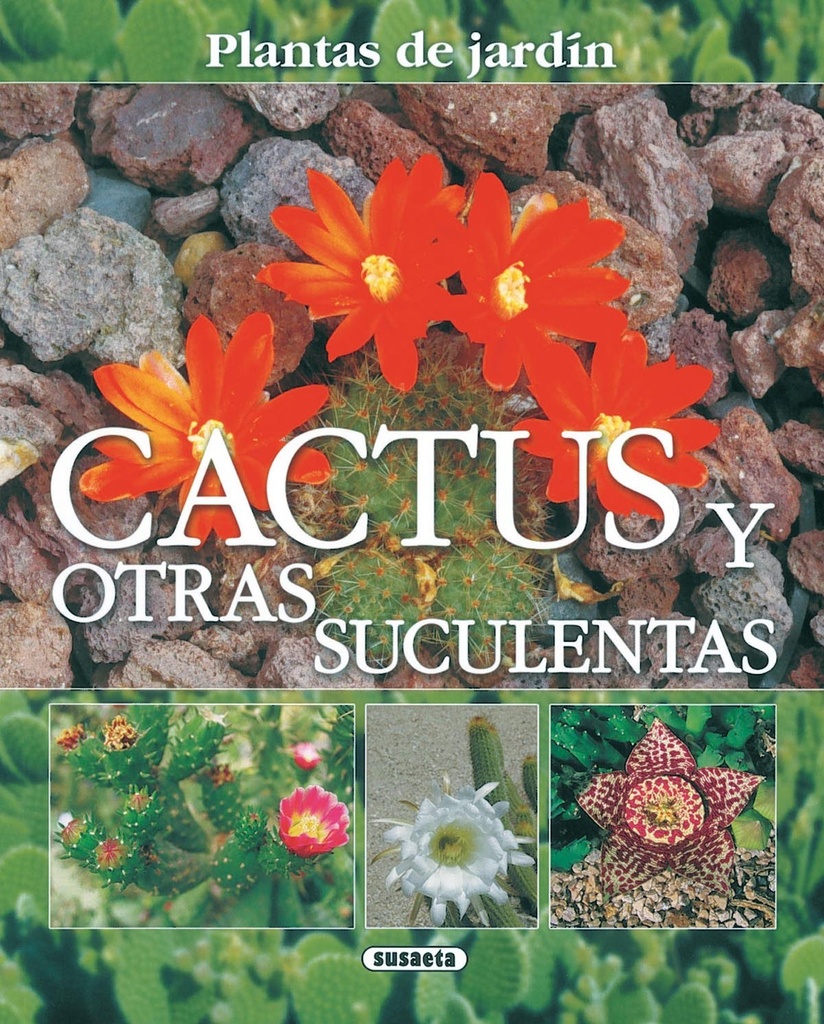 Cactus y otras suculentas, plantas de jardín