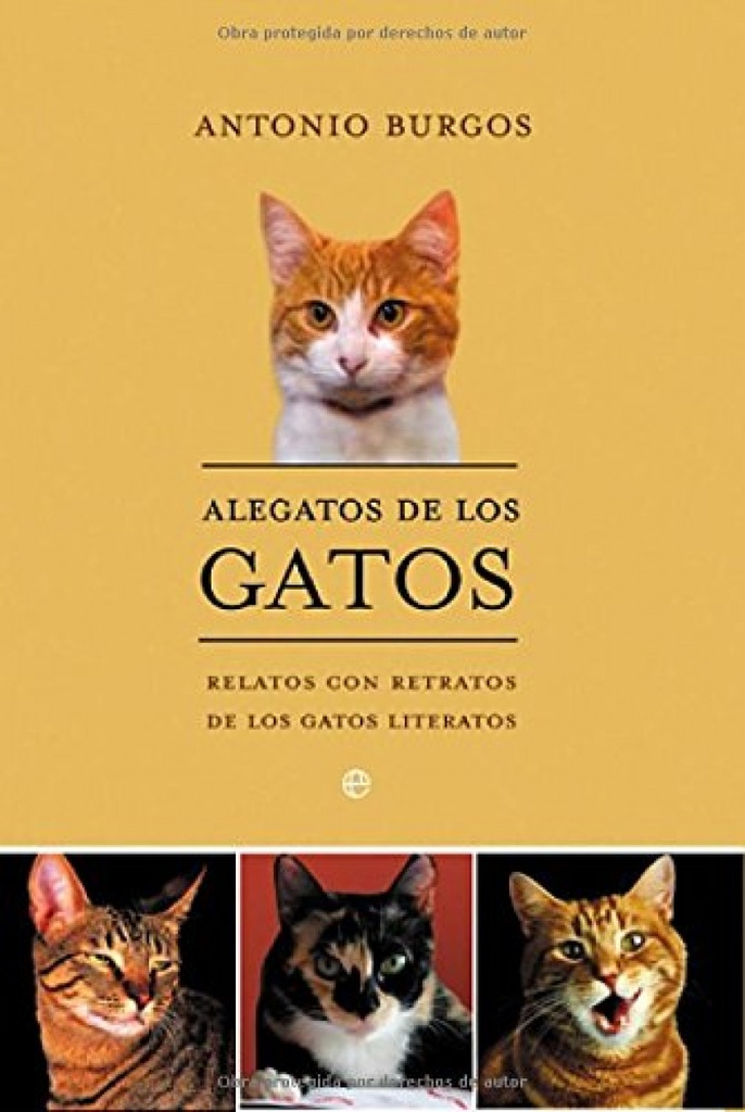 Alegatos de los Gatos