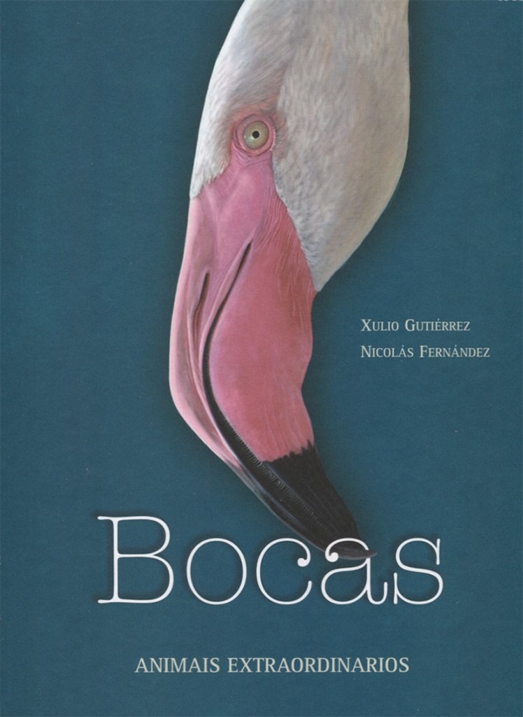 Bocas. Animais extraordinarios