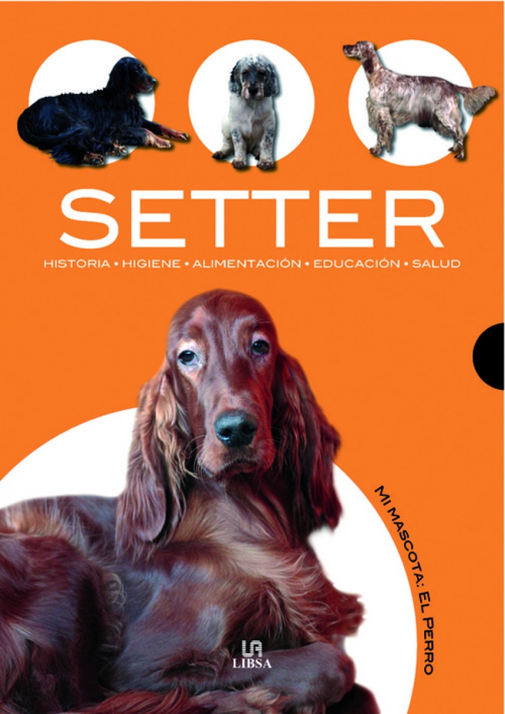 Setter