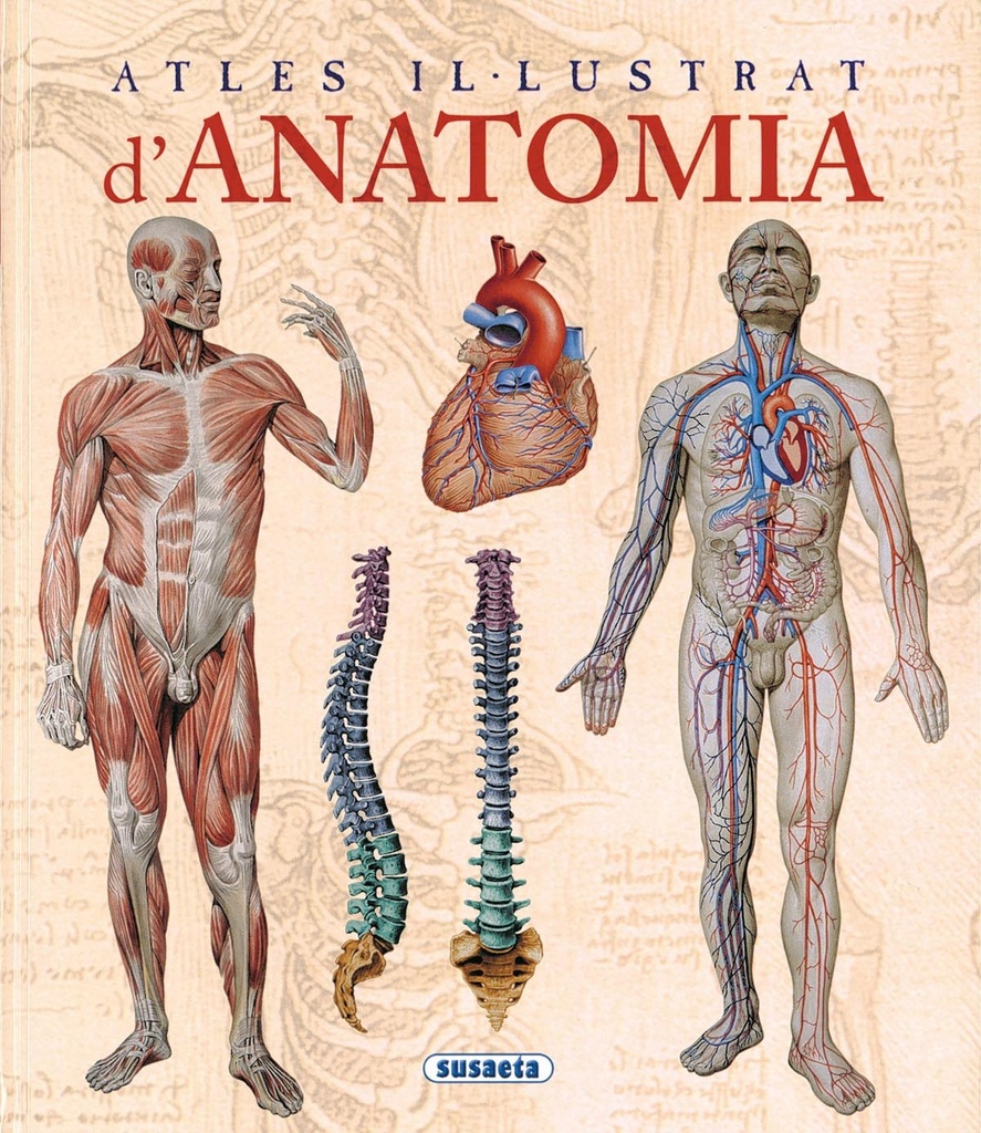 Atles il-lustrat d´anatomia