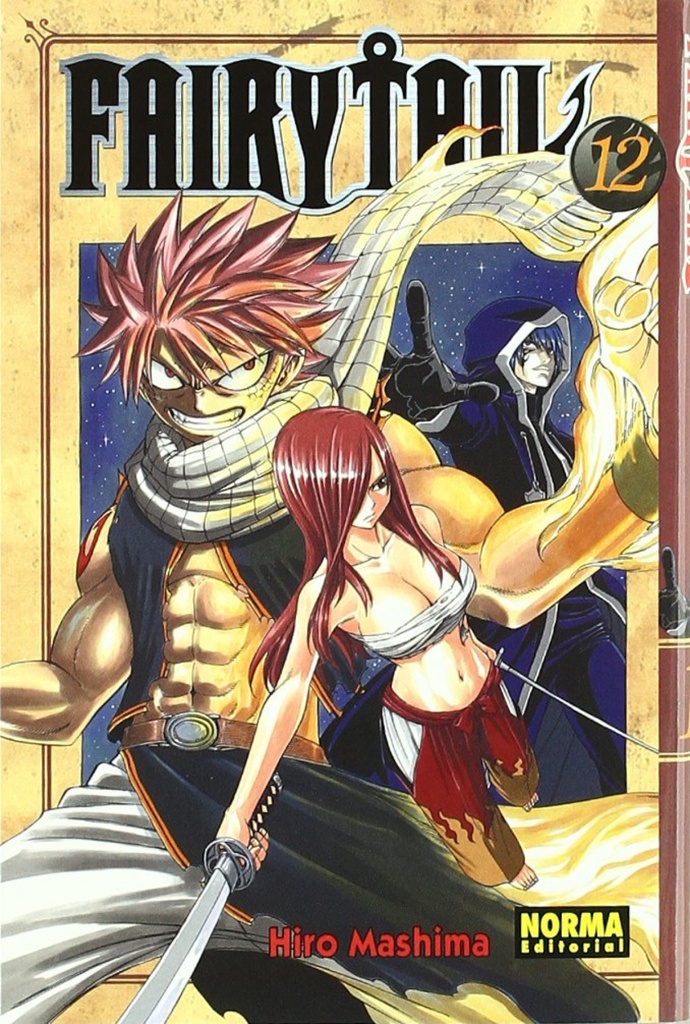 FAIRY TAIL 12