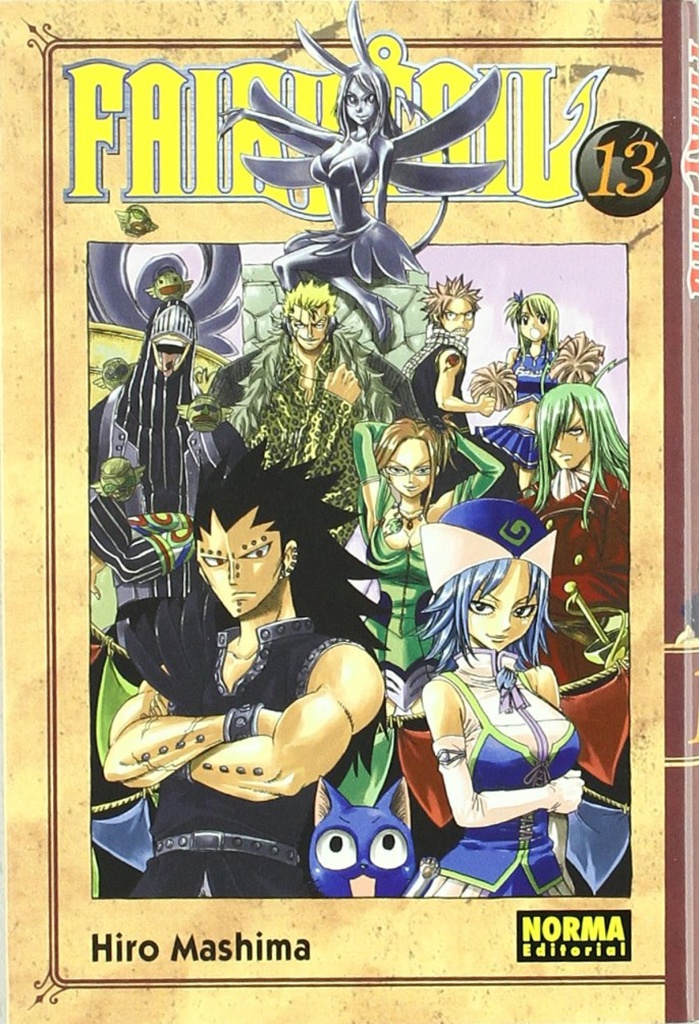 FAIRY TAIL 13