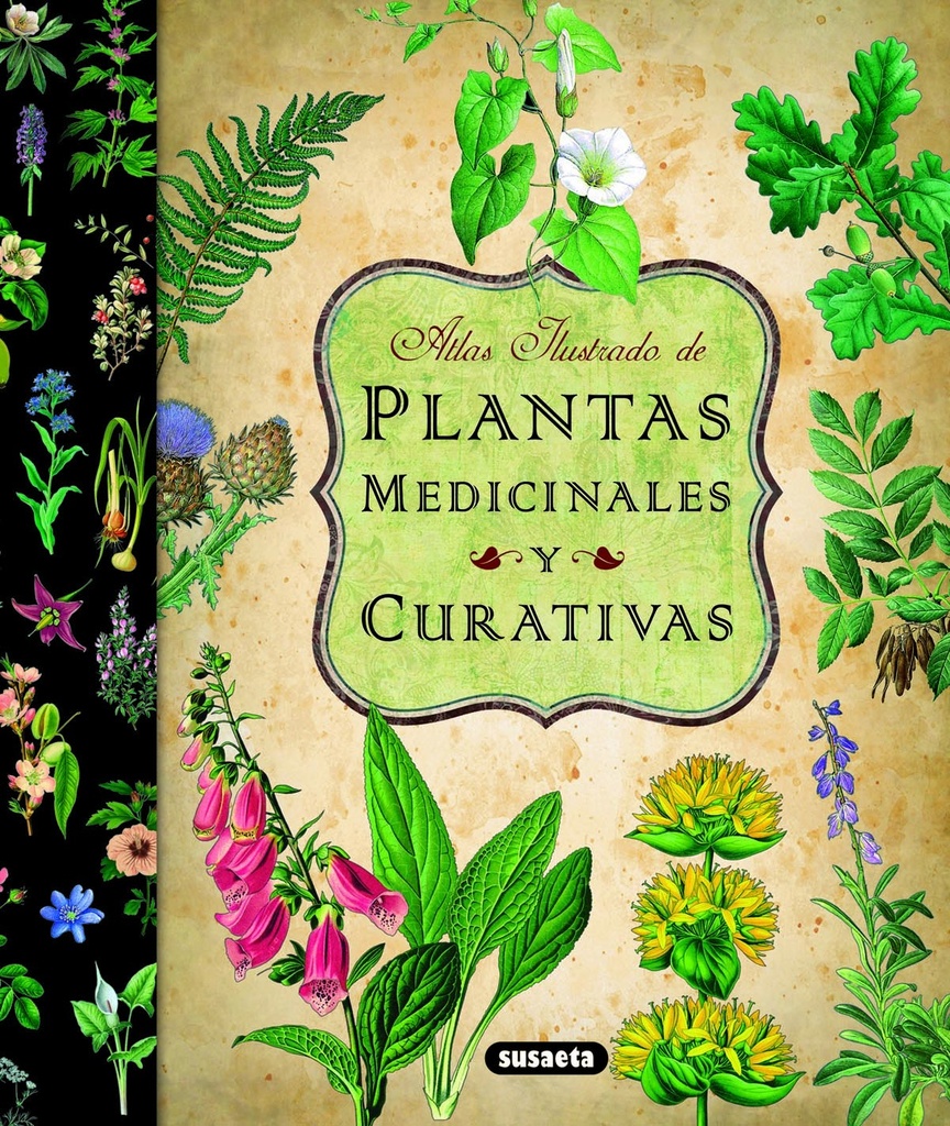 Atlas ilustrado de las plantas medicinales y curativas