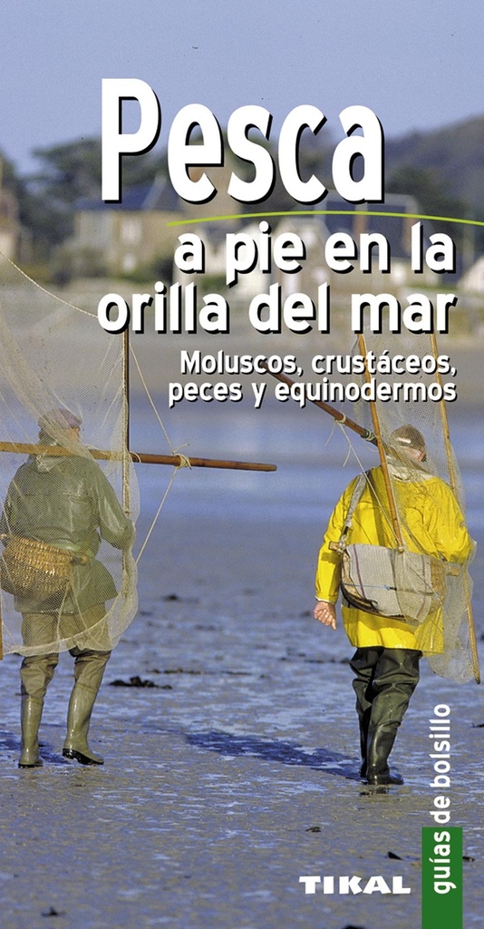 Pesca a pie en la orilla del mar. Moluscos, crustáceos, peces y equinodermos