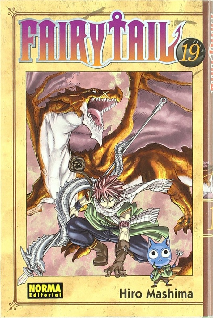 FAIRY TAIL 19