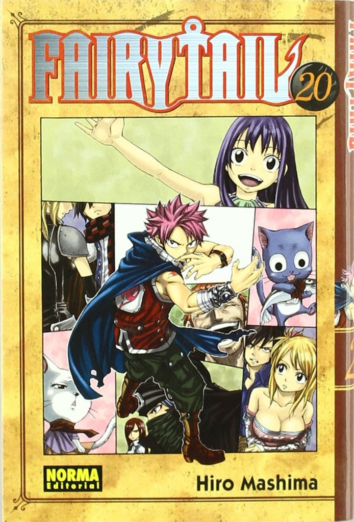 FAIRY TAIL 20