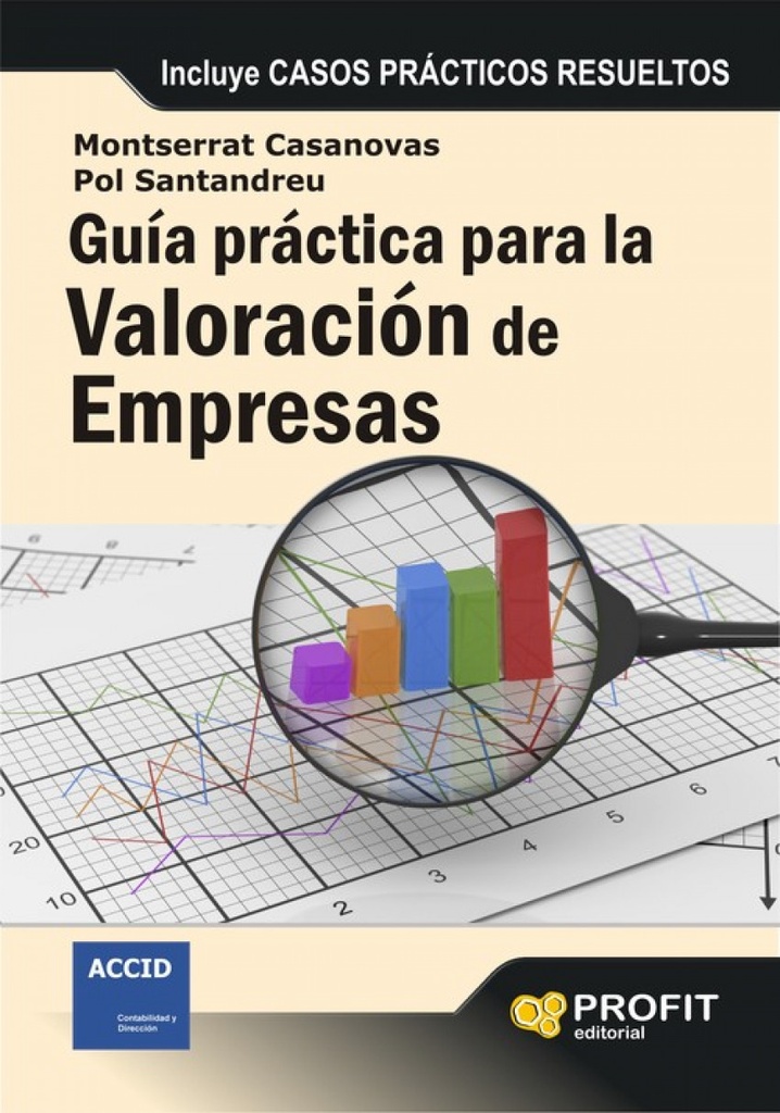 Guia practica para la valoracion de empresas