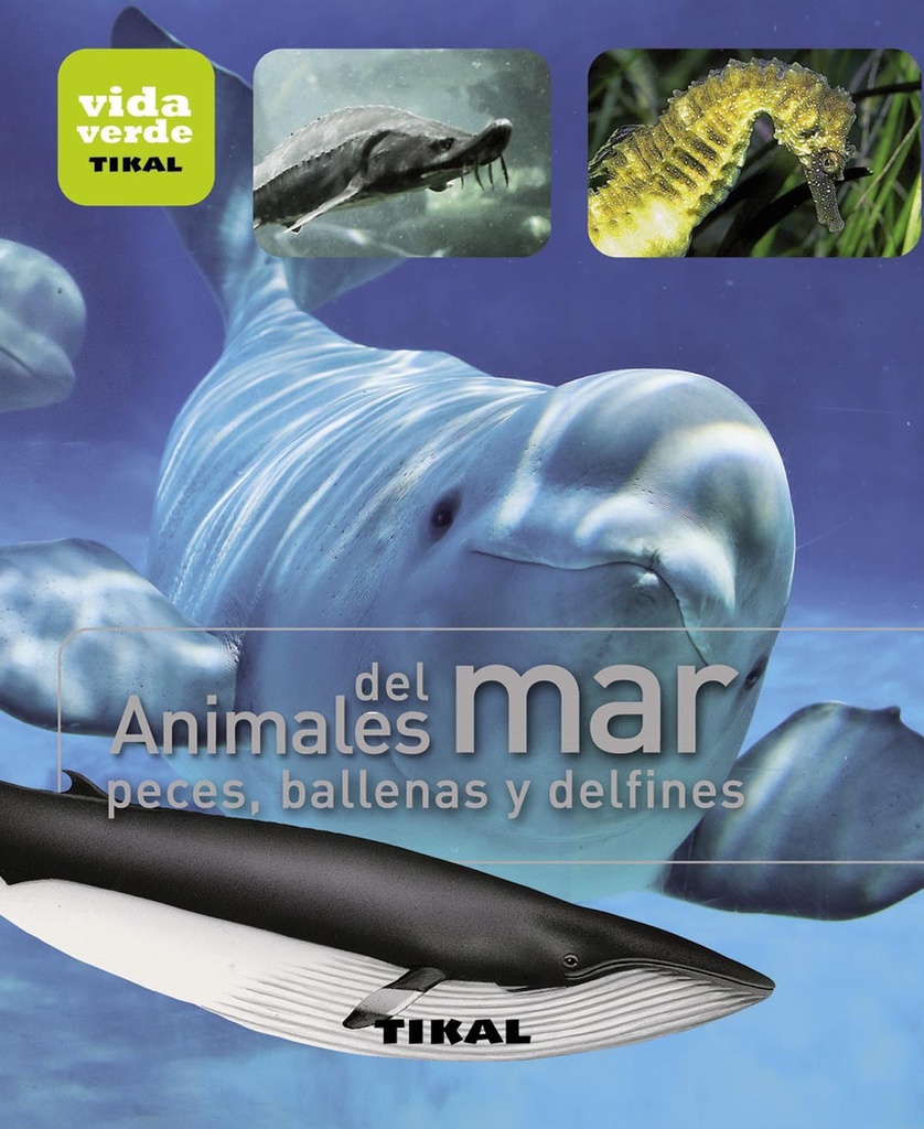 Animales del mar, peces, ballenas y delfines