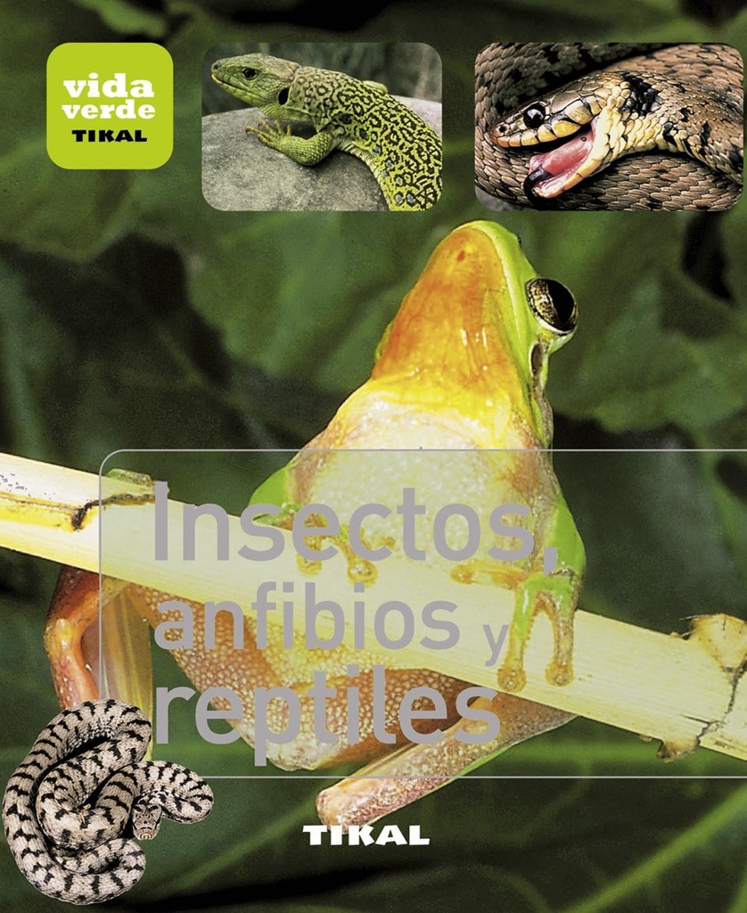 Insectos, anfibios y reptiles