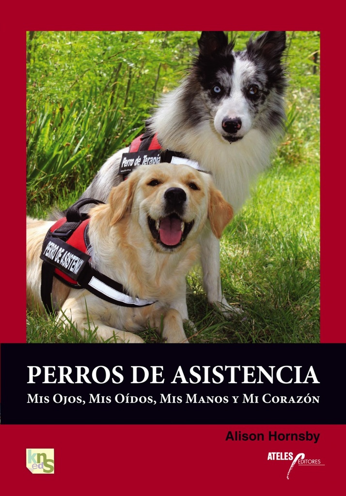 PERROS DE ASISTENCIAS