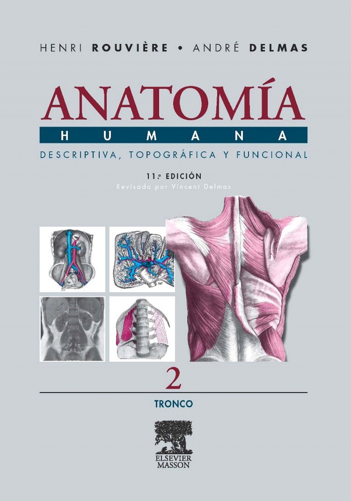 Anatomia humana descriptiva topografica funcional:tronco