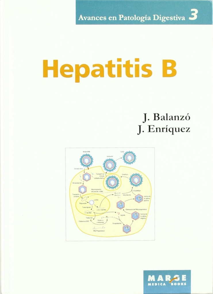 Hepatitis B