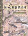 Les sargantanes de les balears