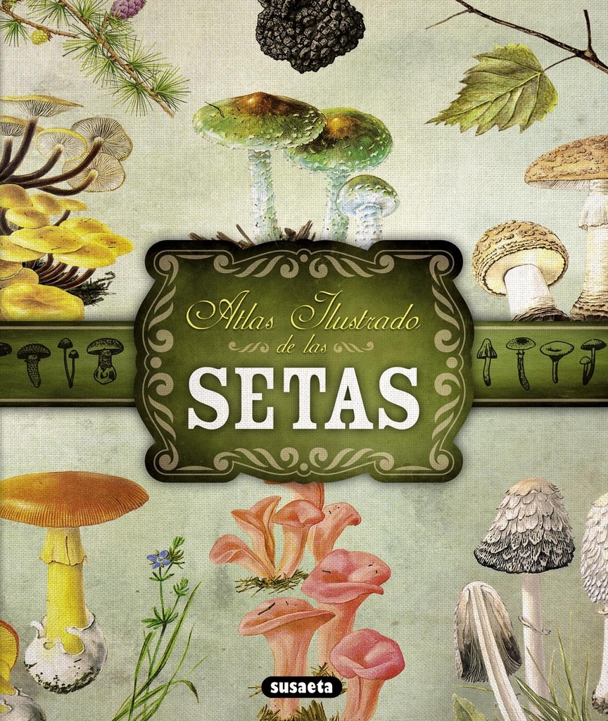 Atlas ilustrado de setas