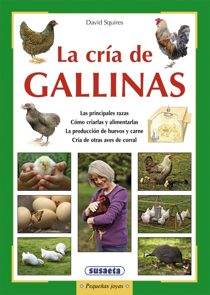 Cria de gallinas