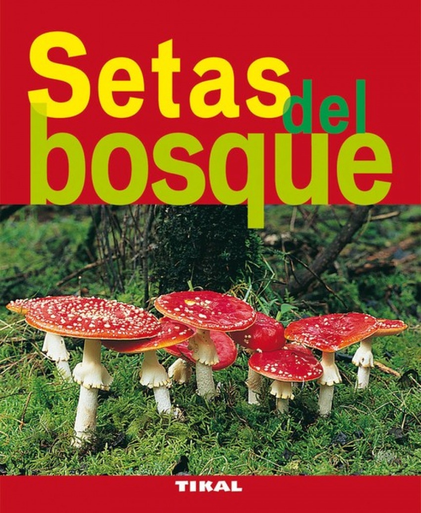 Setas del bosque